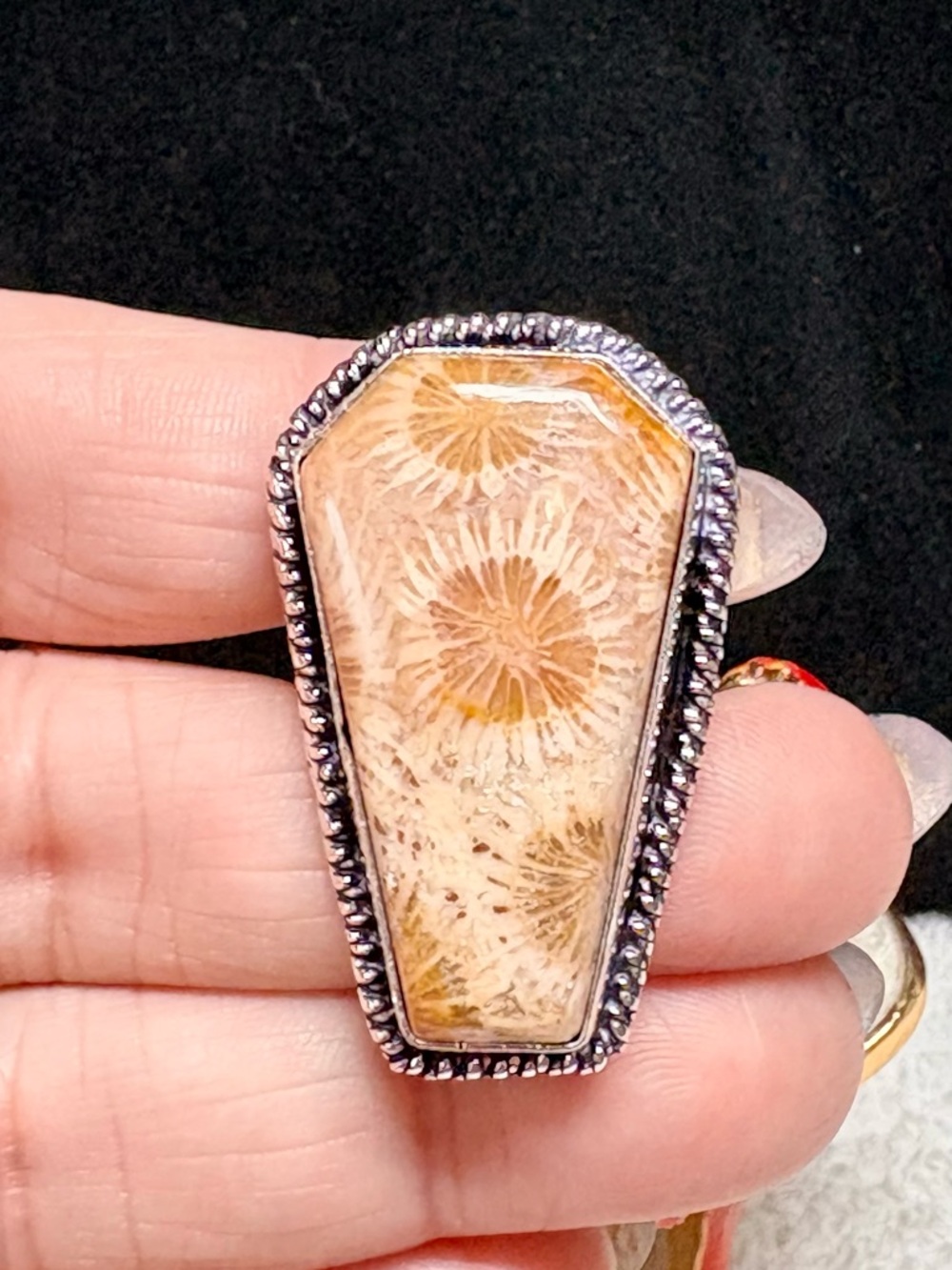 Sterling Silver Beige Fossil Coral Statement Ring - Beige LARGE